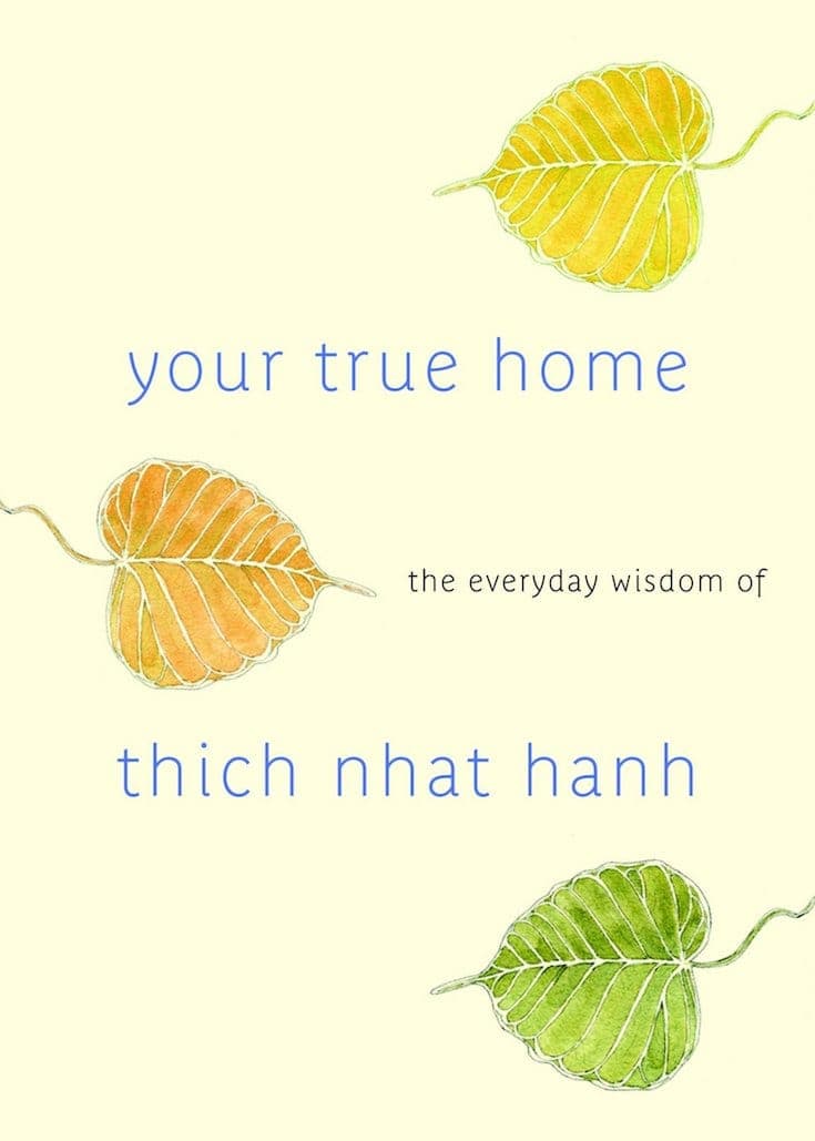 Best Mindfulness Books by Thich Nhat Hanh - Mindful Spot