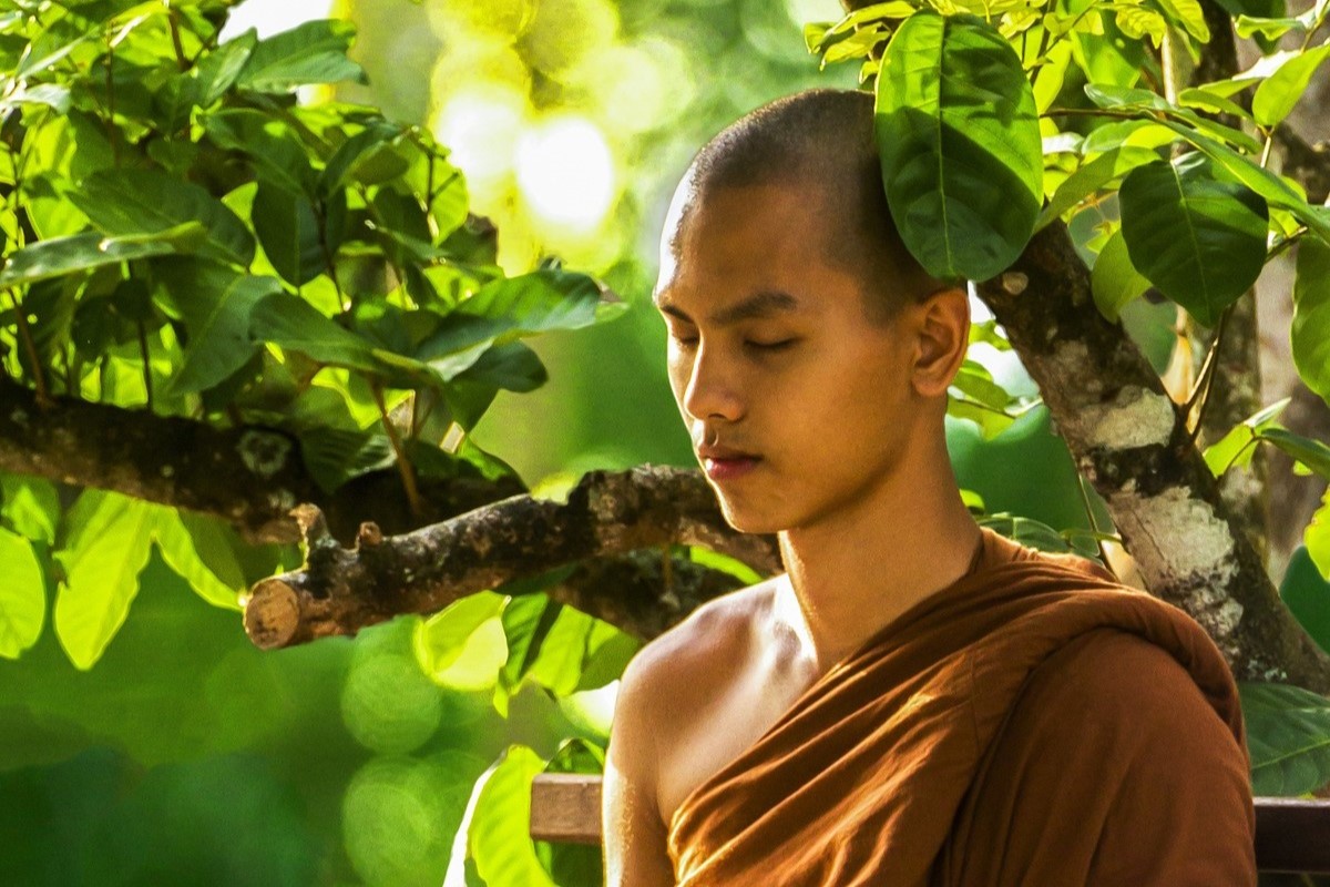 What Is Mindfulness of the Four Elements in Buddhism?