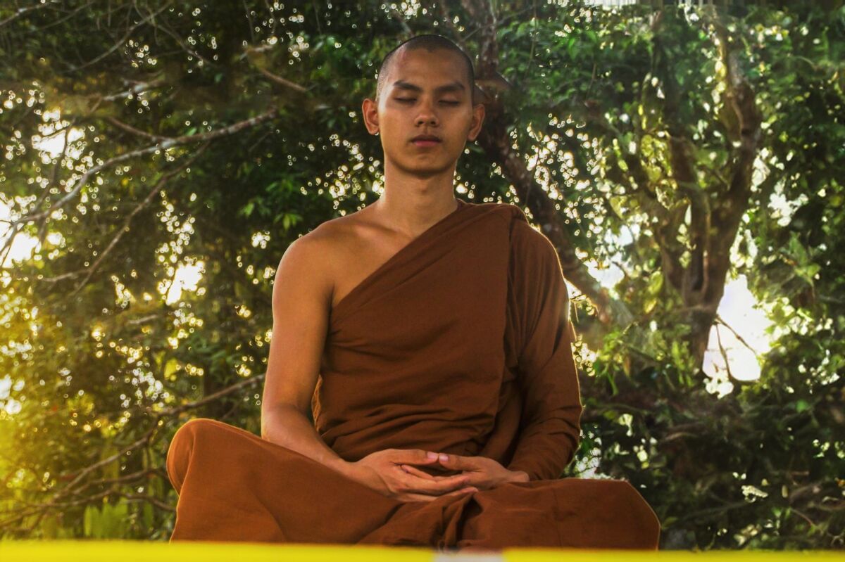 What Is Mindfulness of the Seven Awakening Factors in Buddhism?