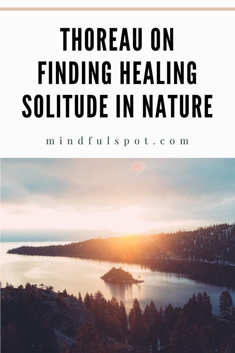 Sunrise in the forest with text overlay: Thoreau on finding healing solitude in nature.