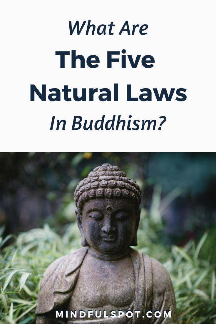 What Are the Five Natural Laws in Buddhism?