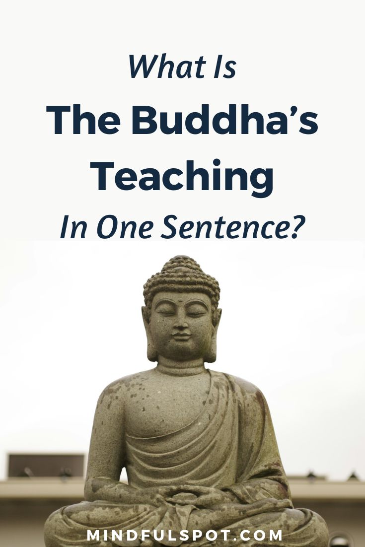 What is the Buddha’s teaching in one sentence? Read our article to learn the answer if you’re interested in Buddhist philosophy.