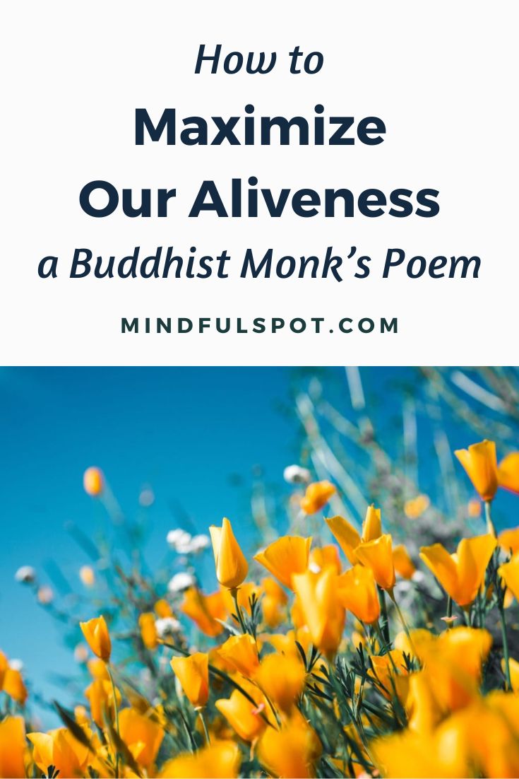 Happy Buddhist monk with text overlay: Poem about how to maximize our aliveness.