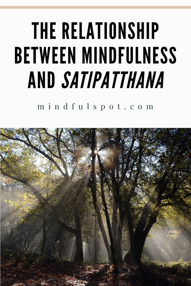 Sun shines through trees with text overlay: The Relationship Between Mindfulness and Satipatthana