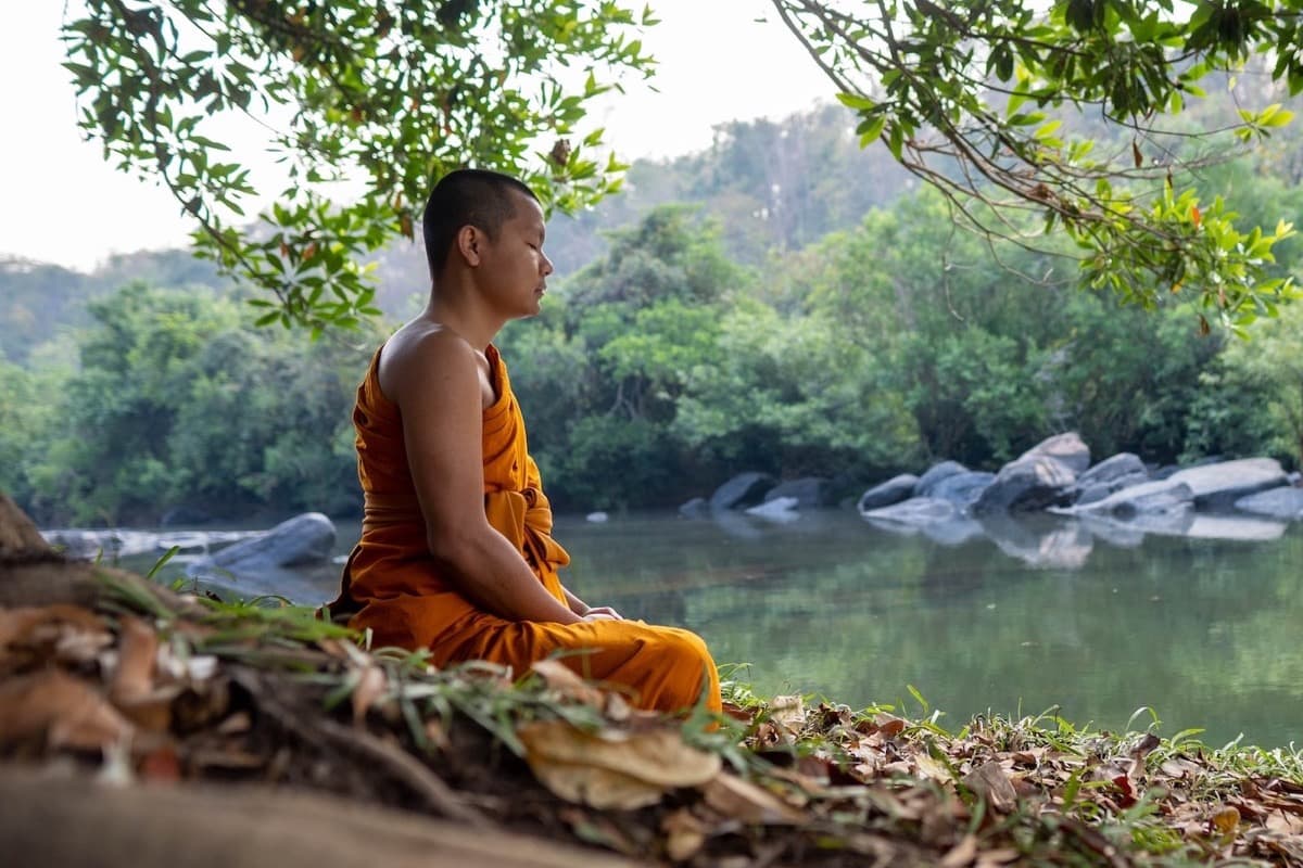 Buddhist Monks Meditation Forest Buddhist Monks Meditation Forest