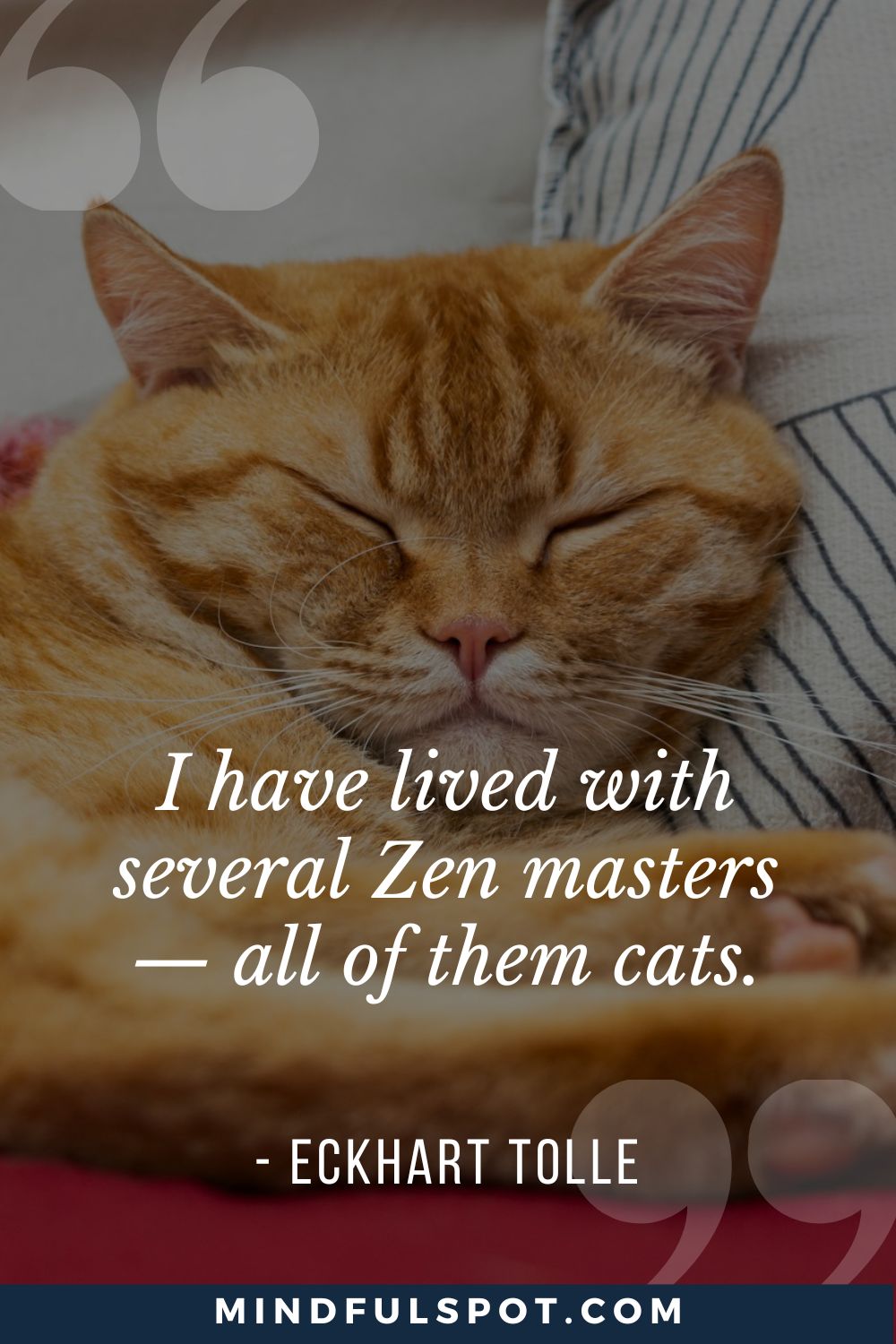 Of Sleeping Cats and Emotional Triggers: Eckhart Tolle Explains How Your ‘Pain Body’ Operates in Daily Life